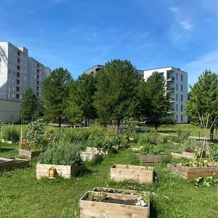 Апартаменты Cozy Таллин