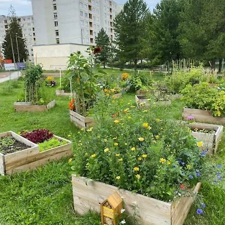Cozy Lägenhet