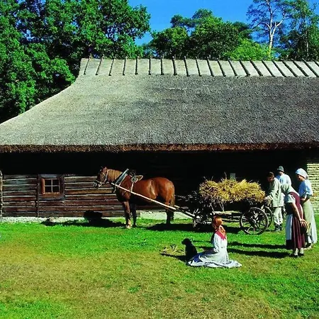 Апартаменты Cozy Таллин